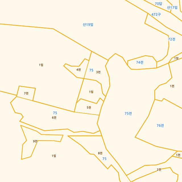 충청북도 옥천군 안내면 서대리 산21-1 지적도